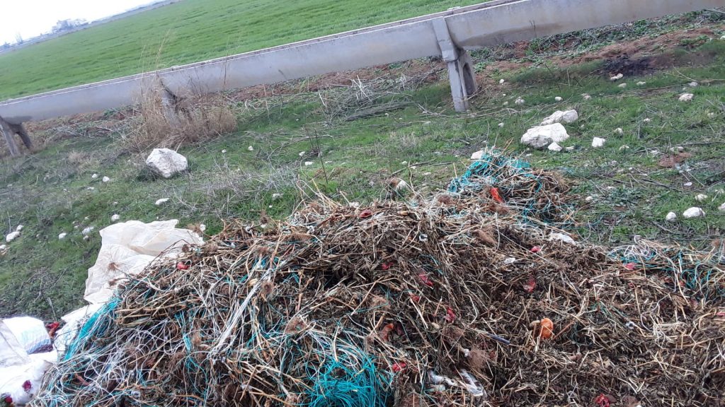 Eyyübiye Tarım ve Orman İlçe Müdürü İZGİ’den uyarı!